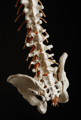 Ostéopathie - thérapie manuelle